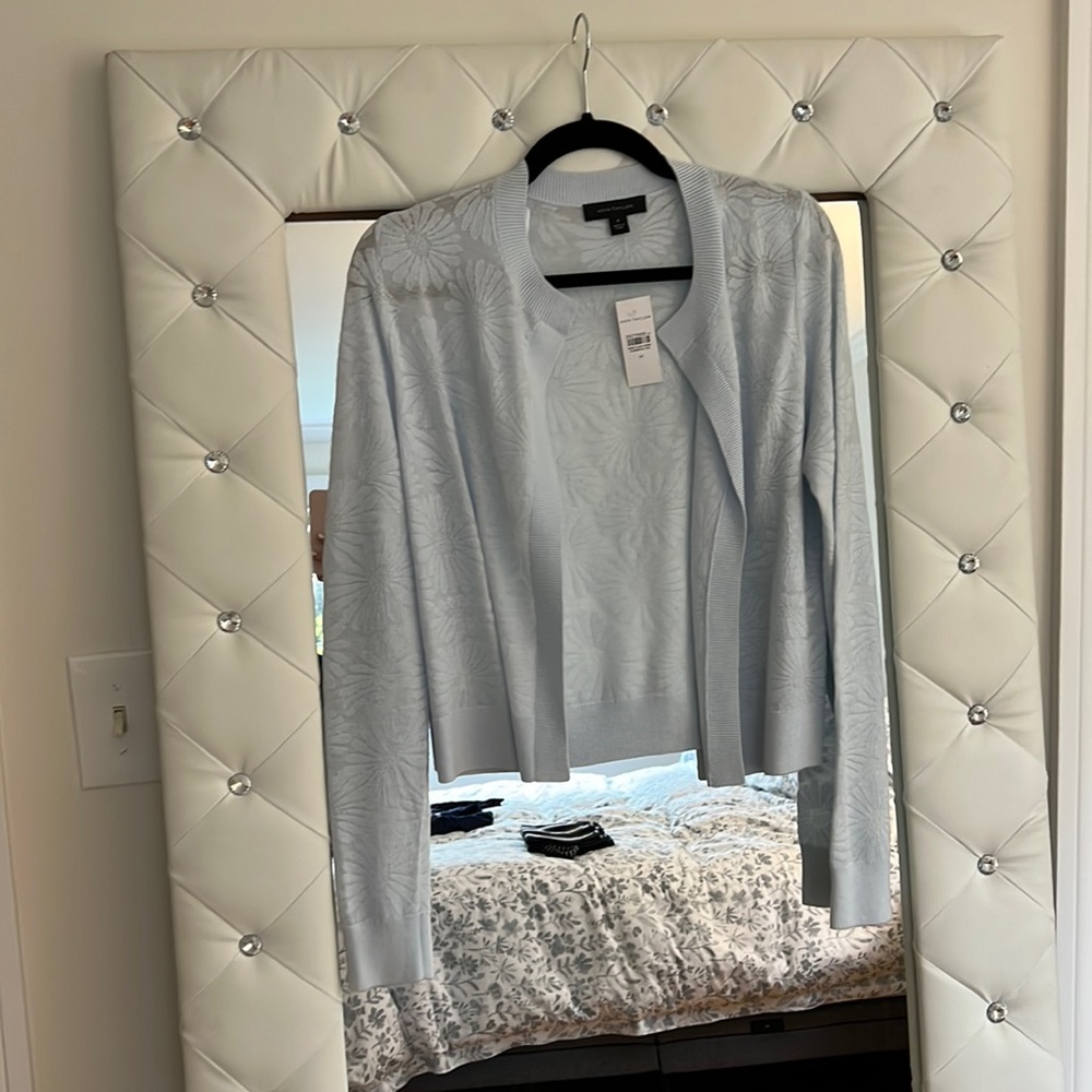 Ann Taylor Baby Blue Flower Sweater